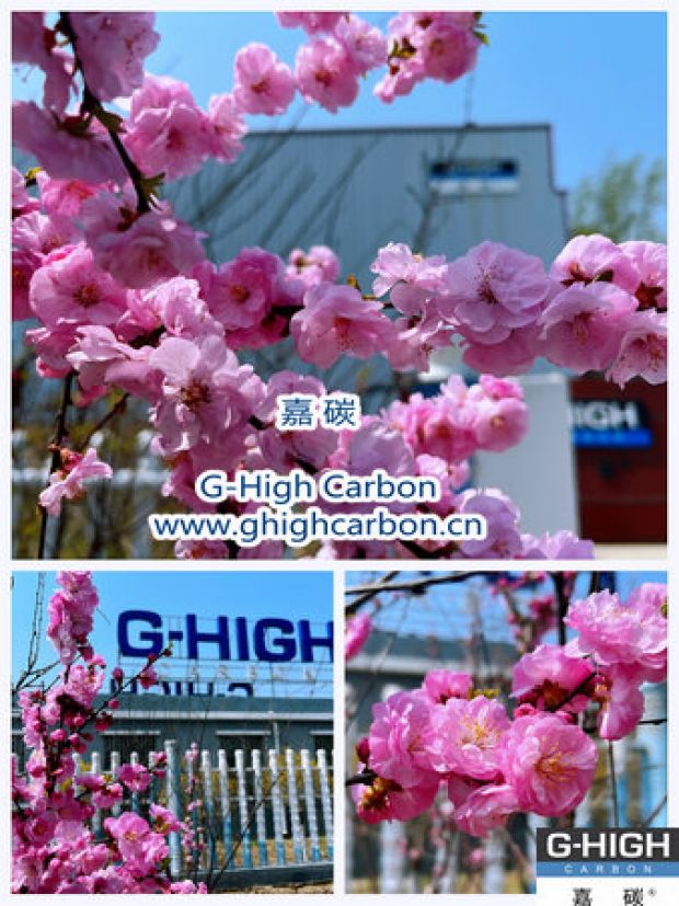 環(huán)保嘉碳，春花爛漫